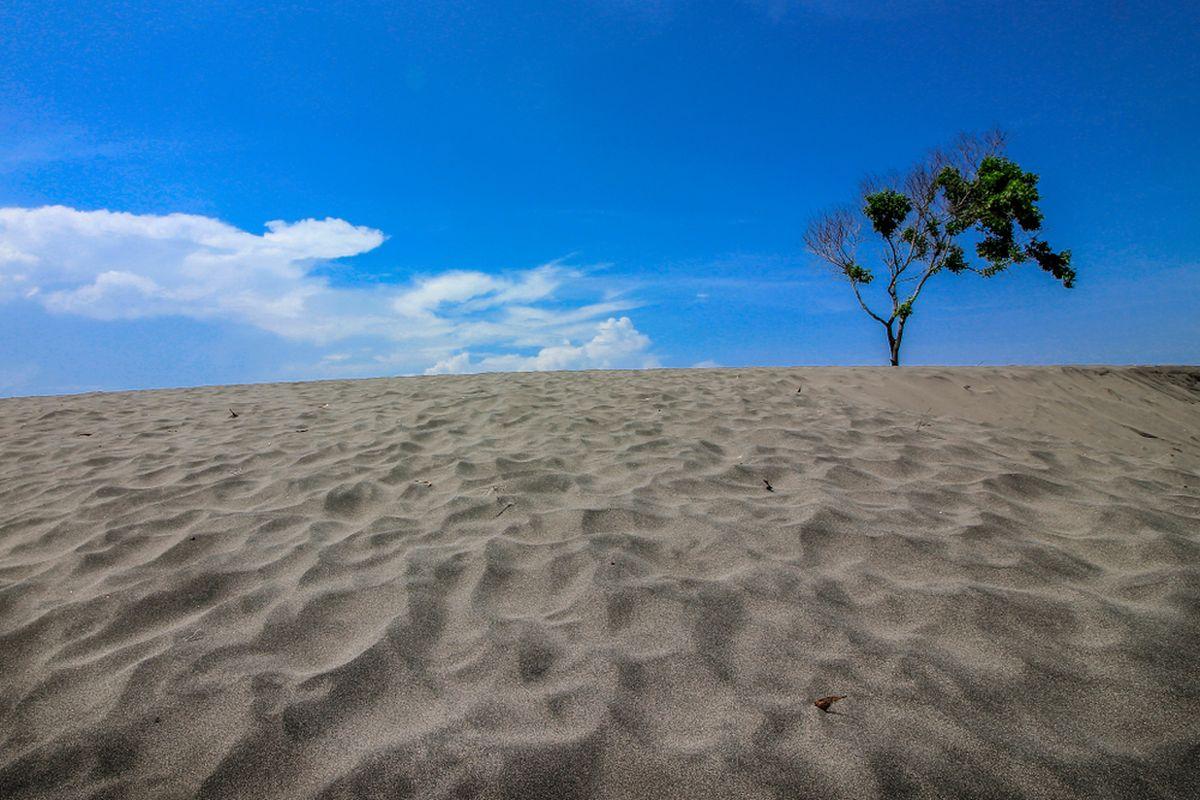Gumuk Pasir Parangkusumo